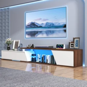 Modern Entertainment Center